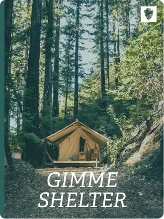 Gimme shelter