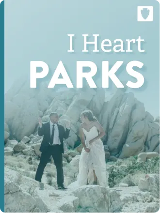 I heart parks