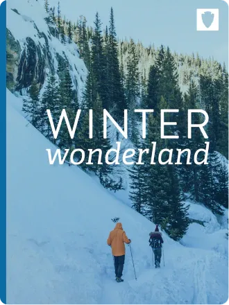 Winter Wonderland
