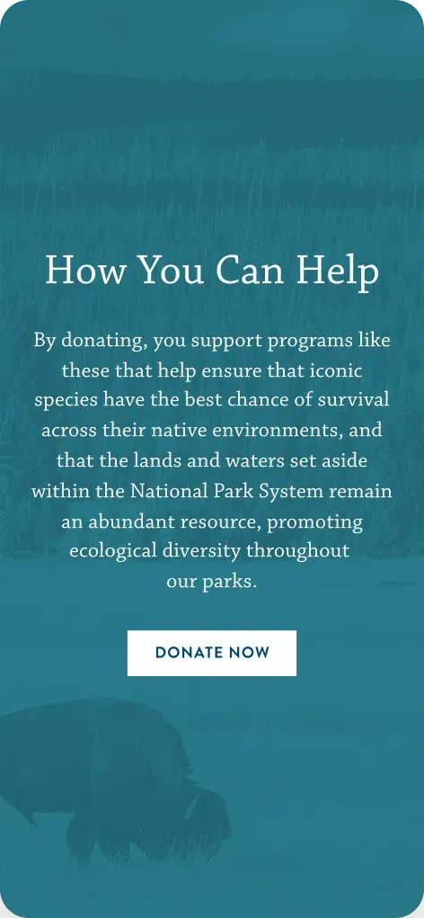 National Park Foundation donation page