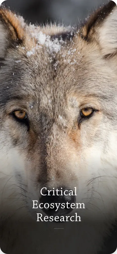 National Park Foundation critical ecosystem research page