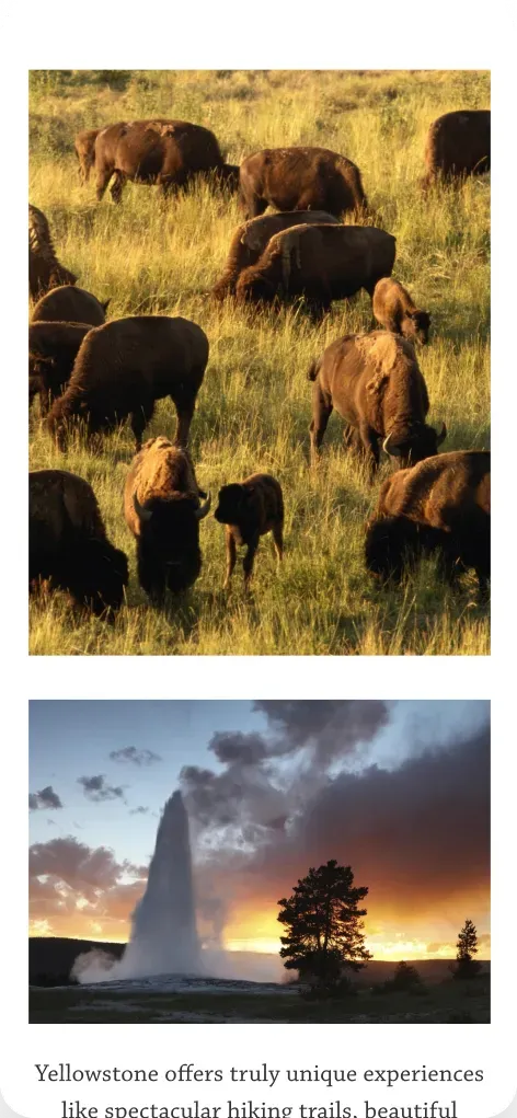 National Park Foundation page featuring Yellowstone wildlife and landscapes