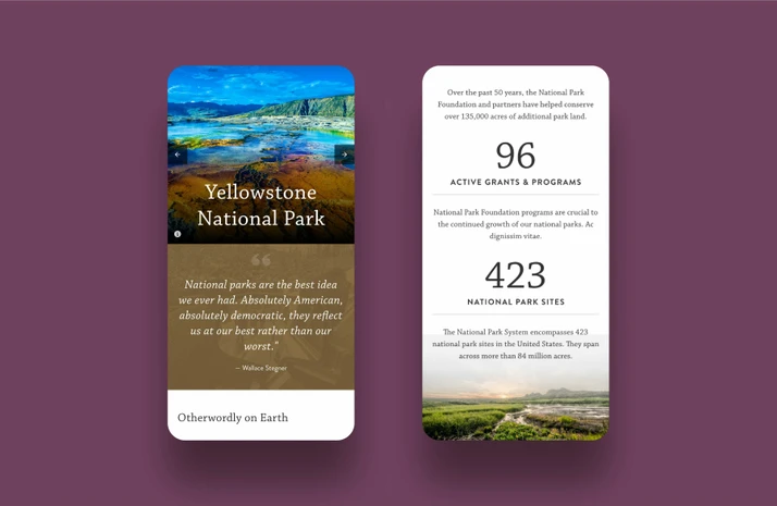 NPF Mobile Designs