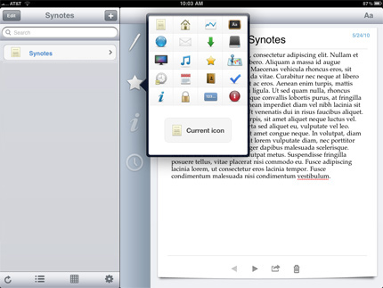 Synotes on the iPad